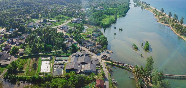 Est-ce qu'on tousse avec une angine blanche ?
