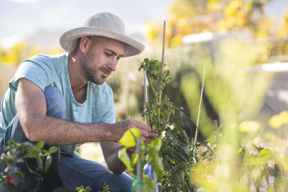 les tendances du marché immobilier à suivre de près cette année